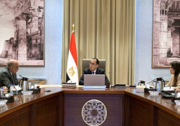 بالصور.. رئيس الوزراء يلتقي وفد شركة فورتيسكيو العالمية