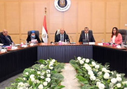 بالصور.. كامل الوزير يترأس الاجتماع الثامن للمجموعة الوزارية للتنمية الصناعية