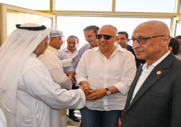 بالصور.. وزير الري يؤكد أهمية المشروعات المنفذة بشبه جزيرة سيناء في تحقيق التنمية الشاملة