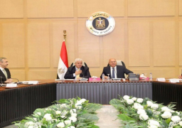 بالصور.. وزيرا الصناعة والتعليم العالي يبحثان سبل تعظيم البحث العلمي للنهوض بقطاعي الصناعة والنقل