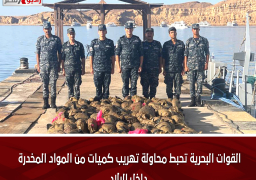 القوات البحرية تحبط محاولة تهريب كميات من المواد المخدرة داخل البلاد