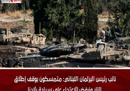 نائب رئيس البرلمان اللبناني: متمسكون بوقف إطلاق النار ونرفض الاعتداء على سيادة بلادنا