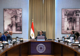 رئيس الوزراء: إعطاء حوافز غير مسبوقة للصناعات غير الموجودة بمصر بهدف توطينها