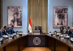 رئيس الوزراء يستكمل مناقشات مشروع القانون المقترح لمناطق المال والأعمال