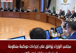 مجلس الوزراء يُوافق على إجراءات حوكمة منظومة استيراد سيارات ذوى الهمم
