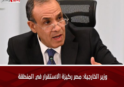 وزير الخارجية: مصر ركيزة الاستقرار في المنطقة