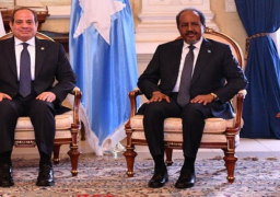 عقب مباحثات الرئيس السيسي وشيخ محمود.. مصر والصومال تؤكدان دعم وحدة واستقلال وسيادة الصومال الفيدرالية على كامل أراضيها