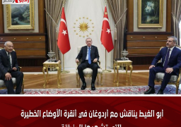 أبو الغيط يناقش مع أردوغان في أنقرة الأوضاع الخطيرة التي تشهدها المنطقة