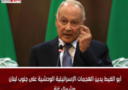 أبو الغيط يدين الهجمات الإسرائيلية الوحشية على جنوب لبنان وشمال غزة