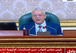 مجلس النواب : إحالة مشروع قانون الإجراءات الجنائية وتعديل قانون صندوق مصر السيادي للجان المختصة