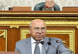 نائب رئيس الوزراء للتنمية الصناعية يستعرض أمام “النواب” خطط تعميق التصنيع المحلى وتعزيز الشراكة مع القطاع الخاص