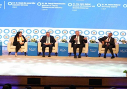 وزير البترول: مصر تلعب دورًا حيويًا في الطلب العالمي على الطاقة