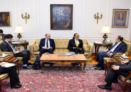 وزير الخارجية: مصر تركز على تنمية العنصر البشري في مجال التحول الرقمي