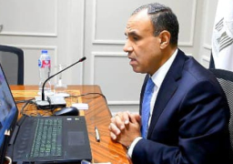 وزير الخارجية يعقد لقاء افتراضياً مع ممثلي الجالية المصرية في قطر