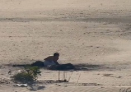 شهداء وجرحى في استهداف مسيّرة إسرائيلية مجموعة صيادين في جنوب لبنان