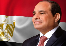 الرئيس السيسي يصل ريو دي جانيرو للمشاركة في قمة مجموعة العشرين بالبرازيل