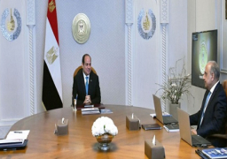 الرئيس السيسي يوجه بتكثيف الجهود الحكومية لتعزيز فرص جذب الاستثمارات لقطاع الطاقة