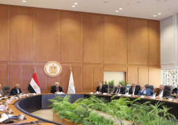 بالصور.. وزير التعليم العالي يرأس اجتماع مجلس إدارة هيئة تمويل العلوم والتكنولوجيا والابتكار