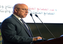 بالفيديو.. نائب رئيس الوزراء يستعرض الموقف التنفيذي للخطة العاجلة للتنمية الصناعية على مدار 130 يوما