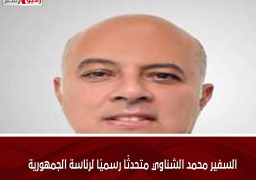 السفير محمد الشناوي متحدثًا رسميًا لرئاسة الجمهورية
