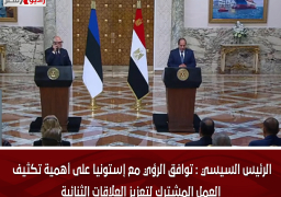 الرئيس السيسي : توافق الرؤي مع إستونيا على أهمية تكثيف العمل المشترك لتعزيز العلاقات الثنائية