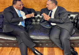 على هامش زيارته إلى روما.. وزير الخارجية يبحث مع نظيره الكونجولي سبل تعزيز العلاقات