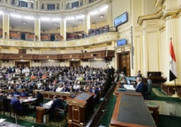 مجلس النواب يوافق مبدئيا على قانون «لجوء الأجانب»