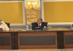 وزير الخارجية: مصر تخطو خطوات ثابتة وسريعة نحو تطوير الأداء الاقتصادي