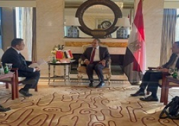 وزير الخارجية والهجرة يلتقي بنائب رئيس شركة “جريت وول” الصينية لصناعة السيارات