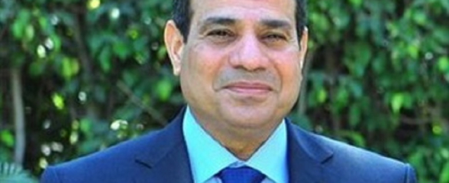 السيسي يلتقي بخبير مصري عالمي في مجال الطاقة المتجددة