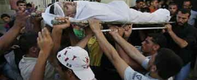 ارتفاع حصيلة العدوان الإسرائيلى على غزة لـ230 شهيدا و1690جريحا