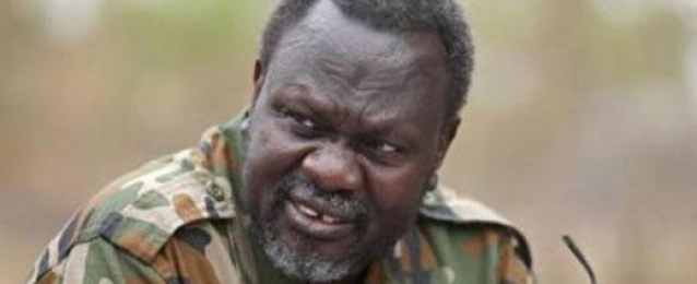 صحيفة سودانية: سقوط عاصمة ولاية أعالي النيل بجنوب السودان في أيدي قوات المعارضة