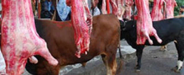 محافظة القاهرة: 120 منفذا لبيع اللحوم الطازجة بسعر 43 جنيها للمستوردة و35 للسودانية