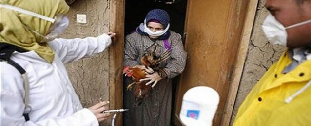 الصحة: ارتفاع الاصابة بانفلونزا الطيورلـ 18 حالة بعد اصابة سيدة باسيوط