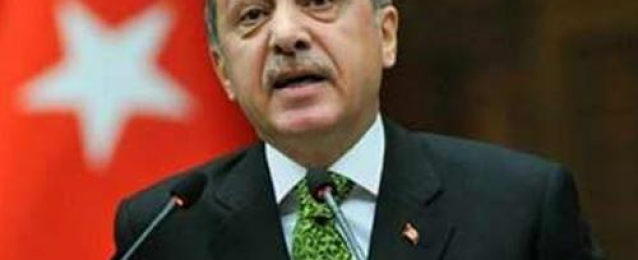 أردوغان: تركيا “تتقدم بسرعة” باتجاه انتخابات مبكرة