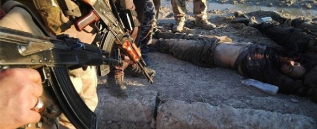 القوات العراقية تقتل 14 من داعش في الأنبار