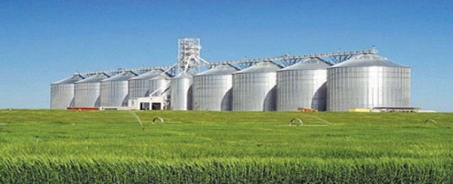 “حنفي”: إنشاء 10 صوامع أفقية بتكلفة 16.5مليون دولار لتخزين القمح