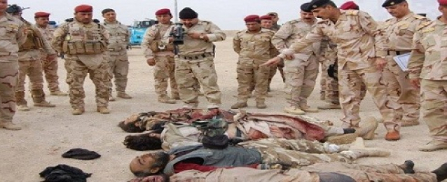 مقتل 53 من داعش بنيران عراقية في الأنبار وصلاح الدين بالعراق