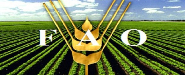 “الفاو”: الزراعة الأسرية تنتج 80 % من المواد الغذائية في العالم