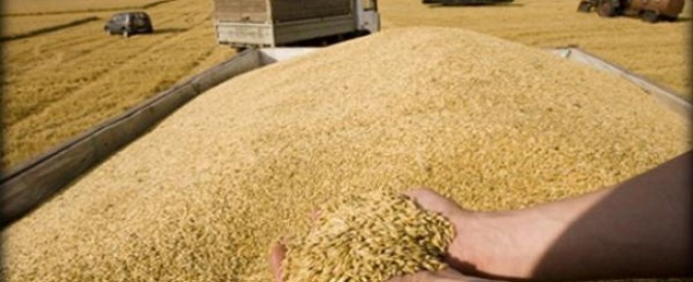 وزير التموين: مخزون القمح يكفى لإنتاج الخبز المدعم حتى ٧ يناير المقبل