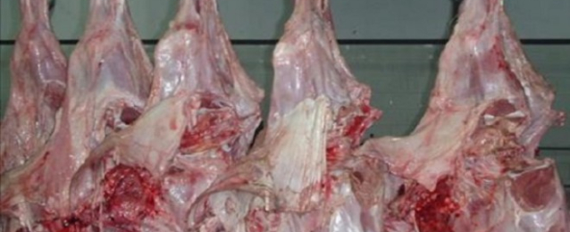 وزير التموين: زيادة كميات المعروض من اللحوم المدعمة للتصدي لزيادة أسعارها