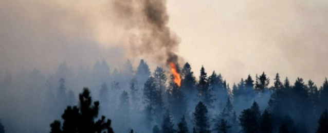 سحب الدخان تغطي سماء واشنطن.. وحرائق الغابات تمتد إلى شيلان