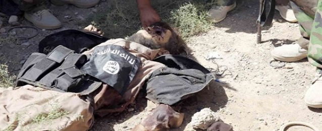 العراق:مقتل 34 إرهابيا من “داعش” بمنطقتي الجرايش والبغدادي في الأنبار