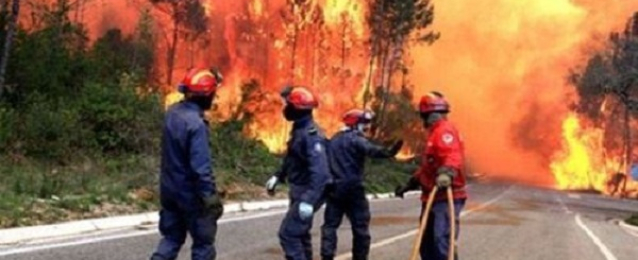 إجلاء المئات بسبب حرائق الغابات في كاليفورنيا ونيو‭ ‬مكسيكو