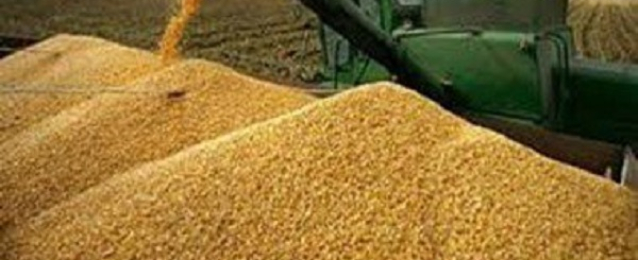 وزير التموين يؤكد عدم الحاجة لاستئجار صوامع موسم القمح القادم
