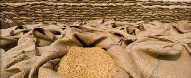 بدء الاستعداد لموسم توريد القمح المحلي بمحافظة دمياط
