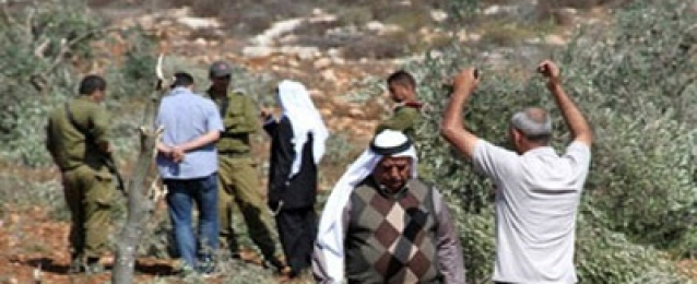مستوطنون يفتحون المياه العادمة على أراض زراعية فلسطينية