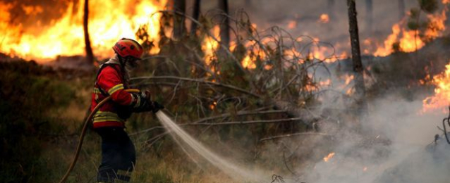 ارتفاع حصيلة ضحايا حرائق الغابات بالبرتغال الى 62 قتيل