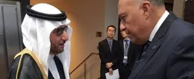 وزير الخارجية يلتقي أمين عام منظمة التعاون الإسلامي
