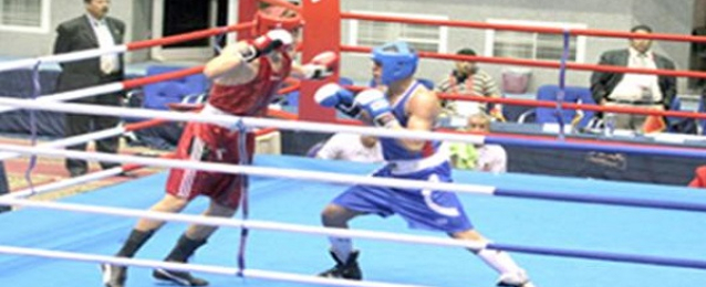 “الملاكمة” يشارك في بطولة بلغاريا الدولية